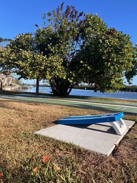 611 Destiny Drive, Unit 115 Ruskin, FL 33570 - Photo 26 of 28 a view of pool and trees in the background