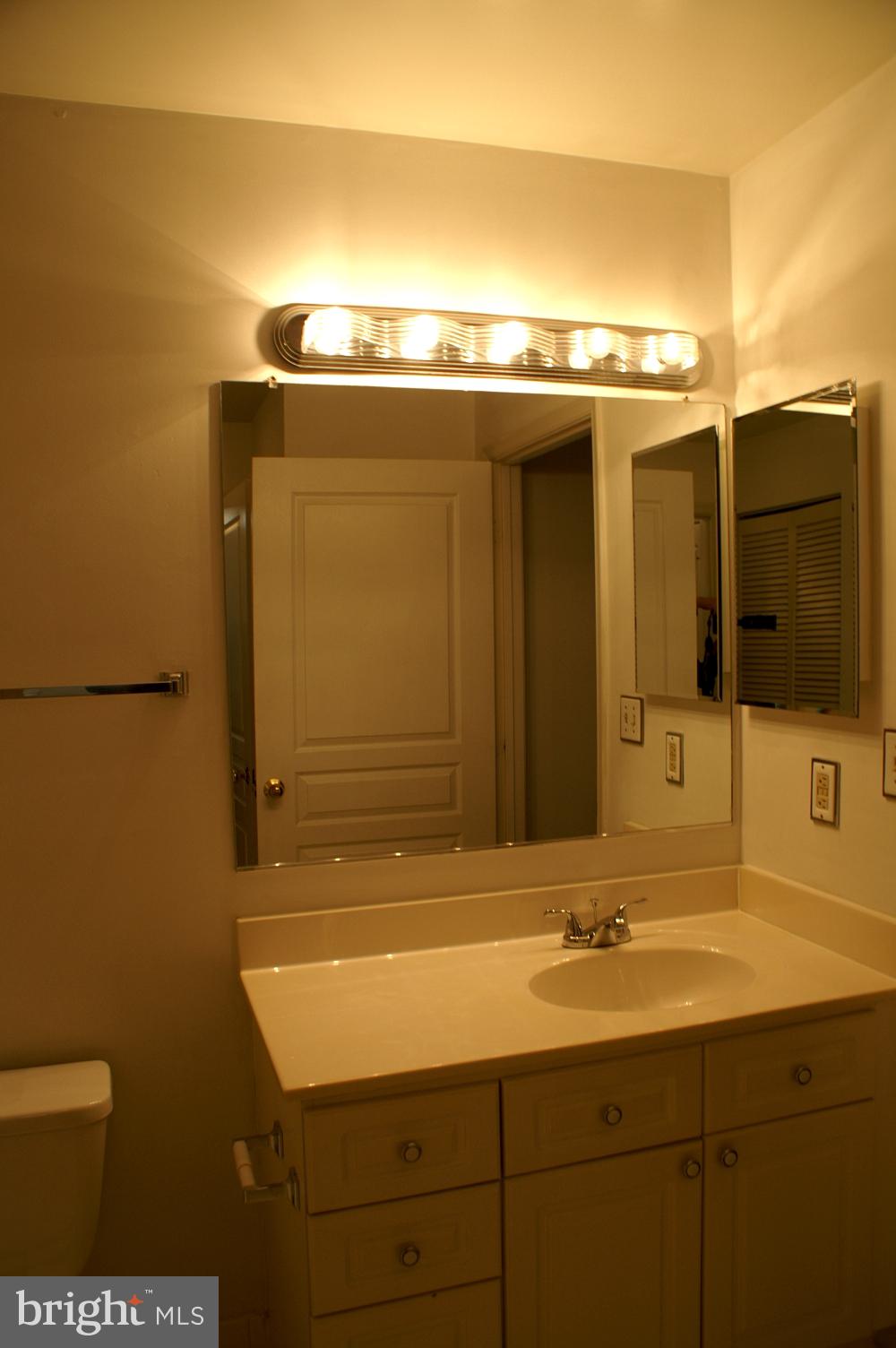 5563 Seminary Road, Unit 111 Falls Church, VA 22041 - Photo 15 of 27 Master Bath