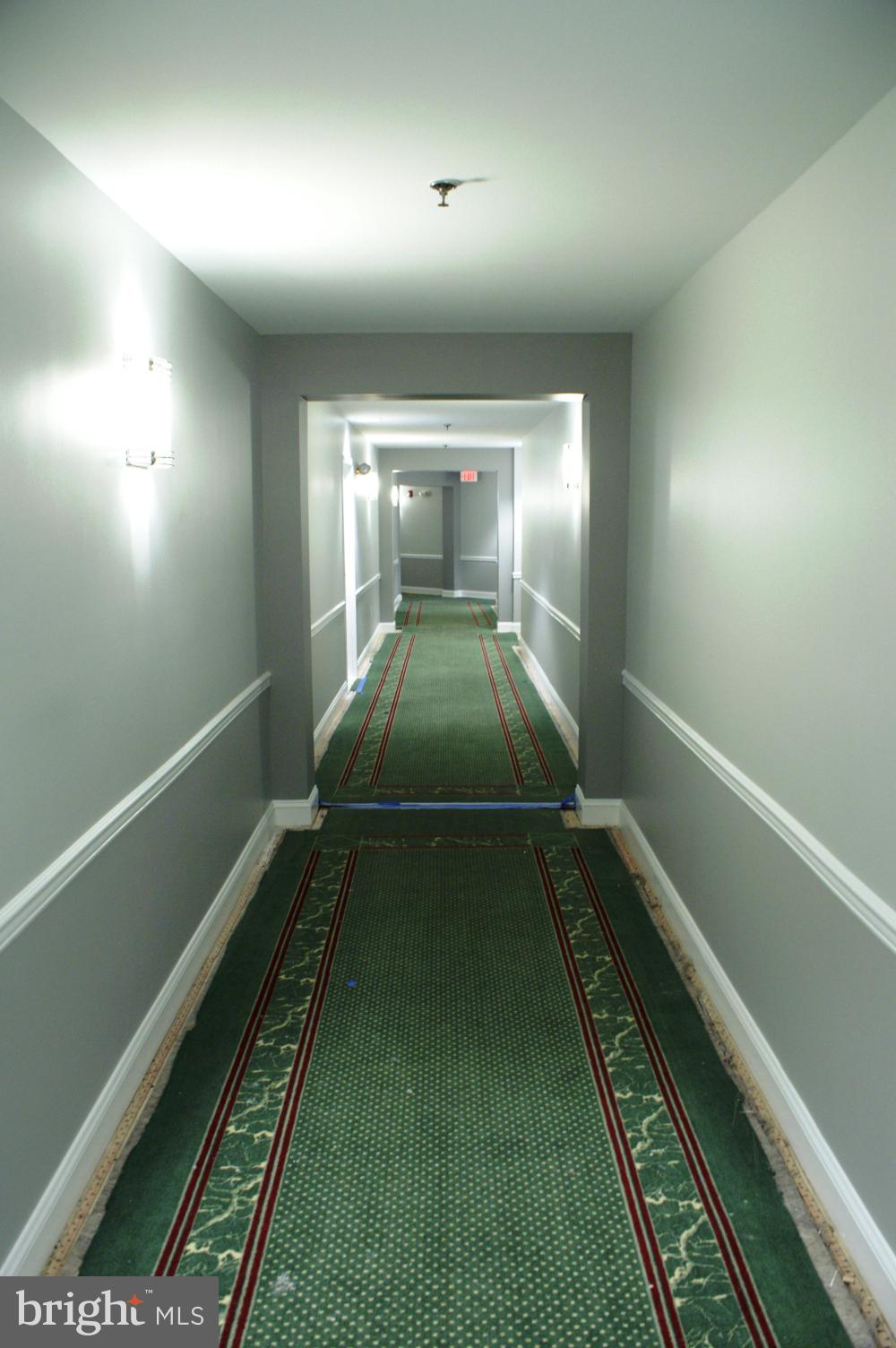 5563 Seminary Road, Unit 111 Falls Church, VA 22041 - Photo 21 of 27 Common Hallway