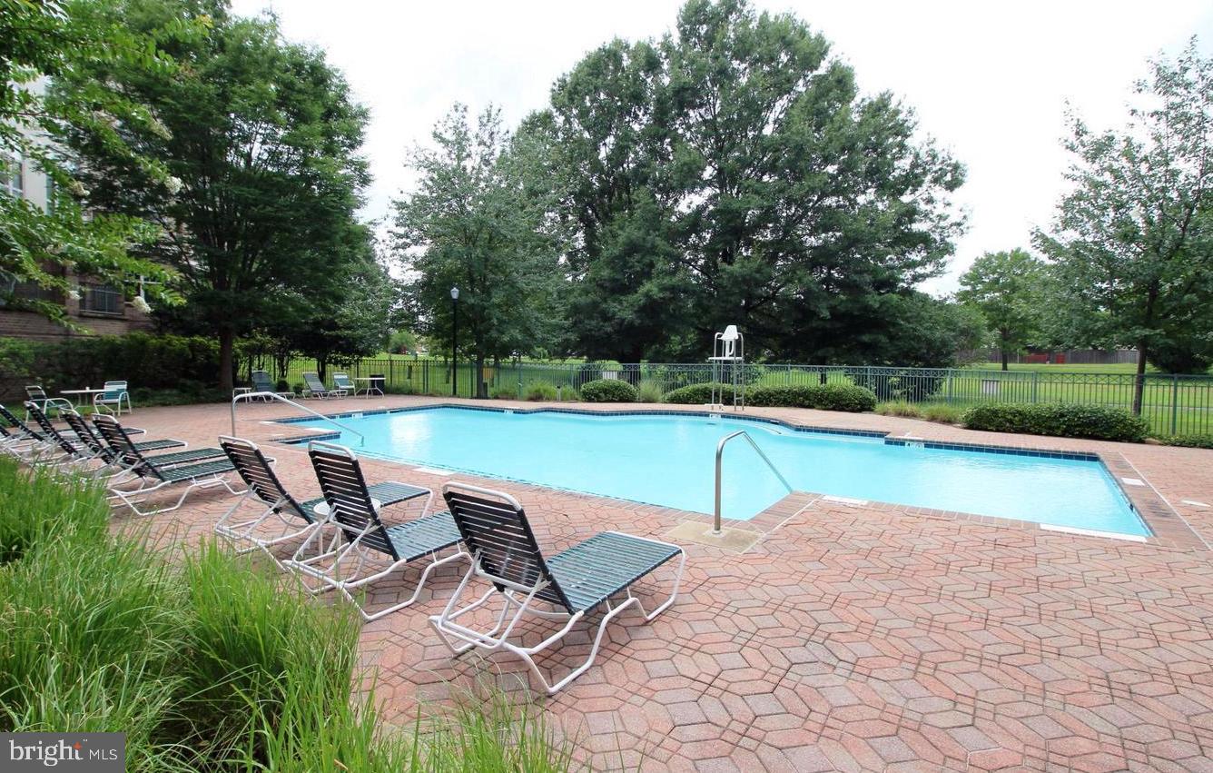 5563 Seminary Road, Unit 111 Falls Church, VA 22041 - Photo 26 of 27 Outdoor Pool