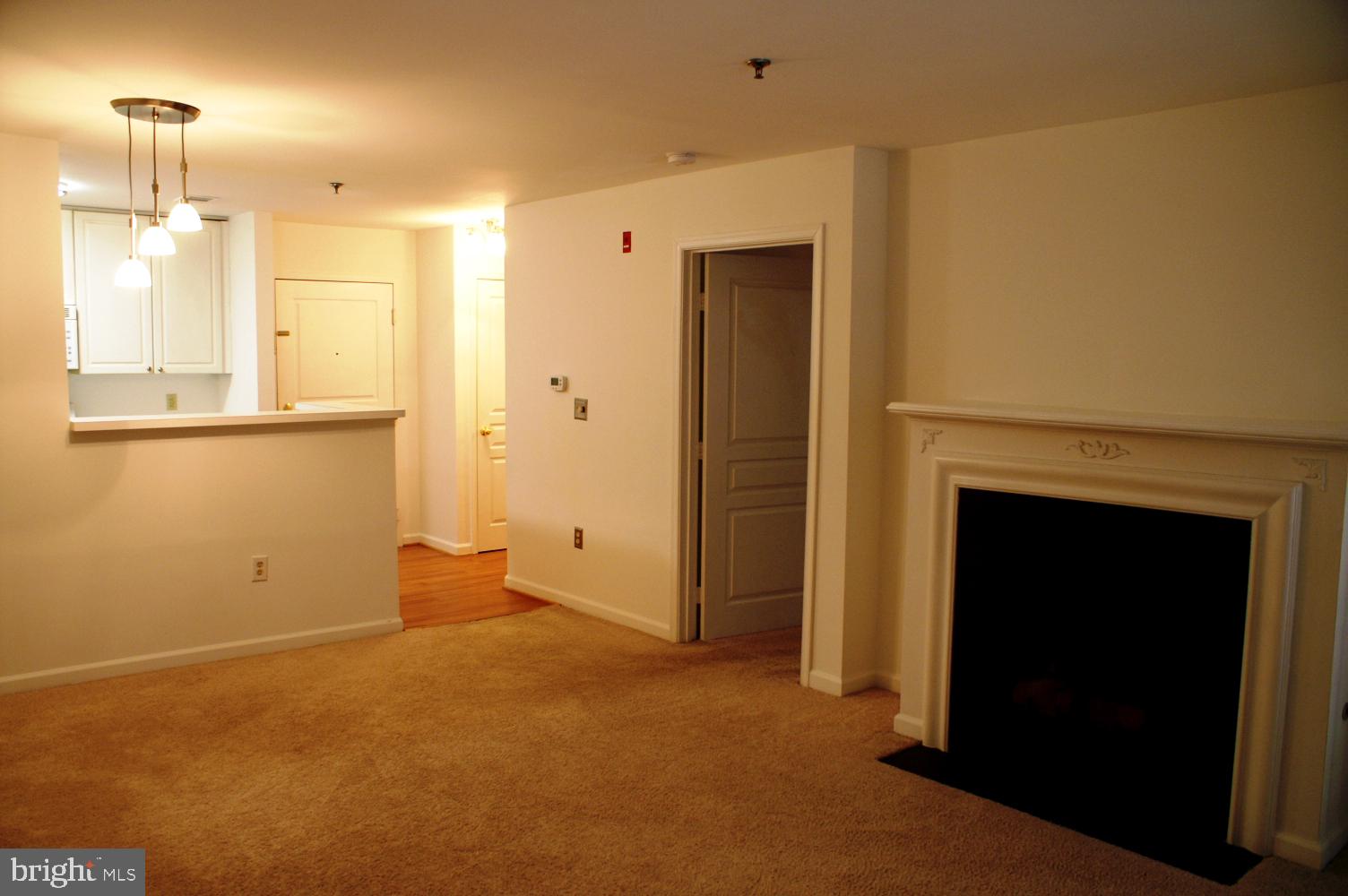 5563 Seminary Road, Unit 111 Falls Church, VA 22041 - Photo 4 of 27 Living /Dining