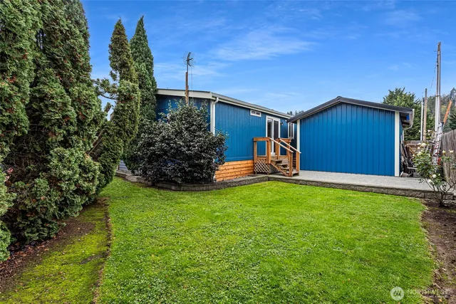 a view of a backyard with couches plants and large trees