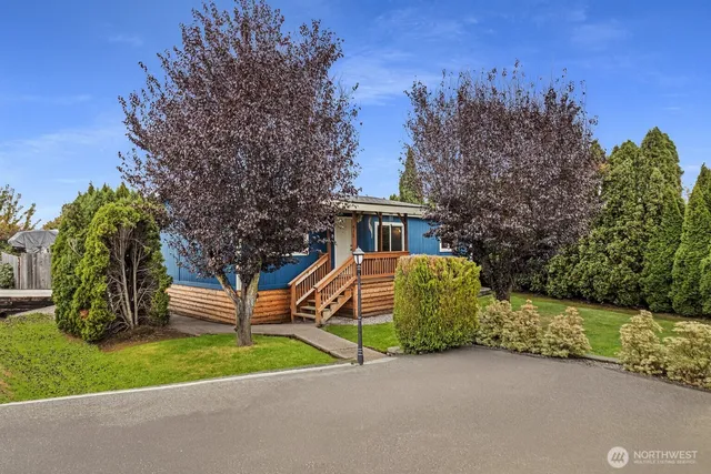 a view of a house with a backyard and a tree