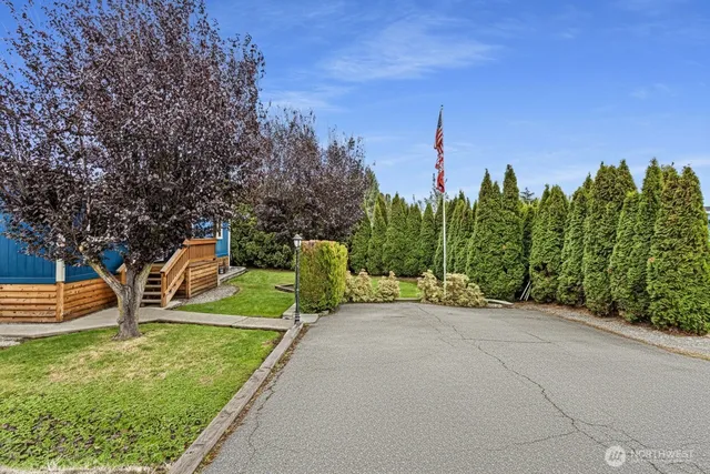 a view of a park with large trees