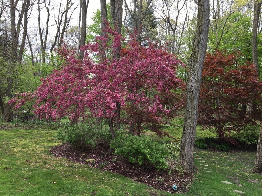 70 North Street Lexington, MA 02420 - Photo 30 of 40