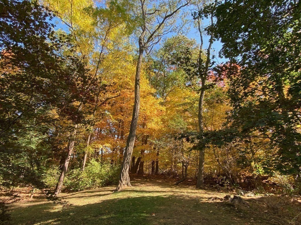 70 North Street Lexington, MA 02420 - Photo 38 of 40