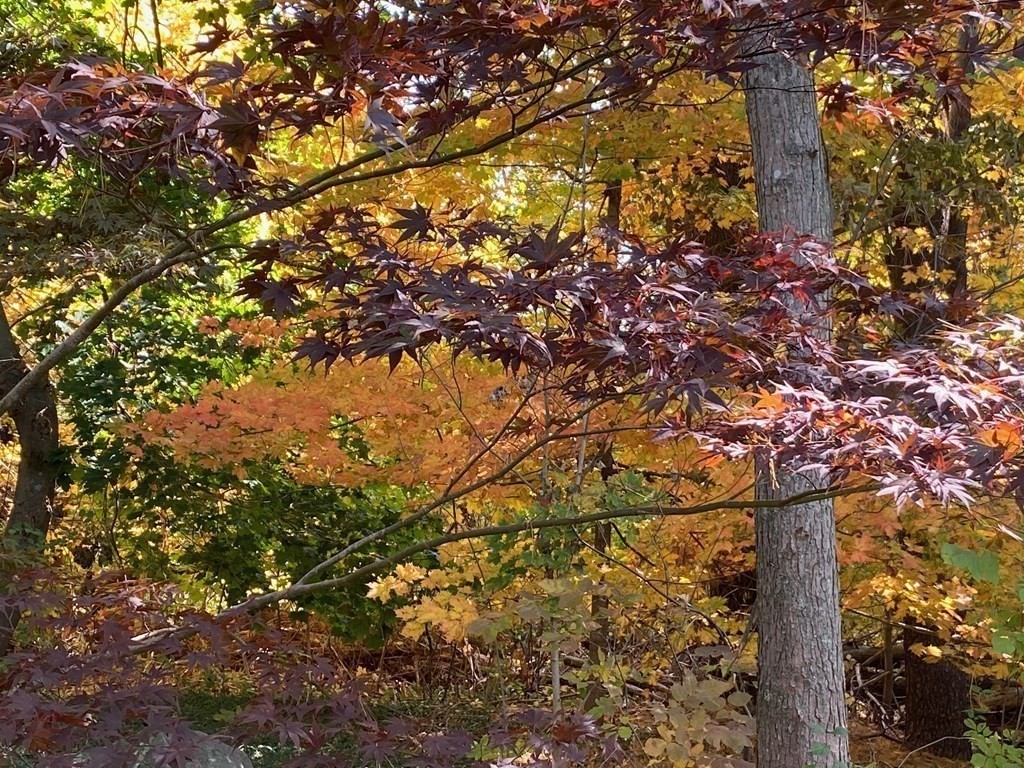 70 North Street Lexington, MA 02420 - Photo 40 of 40