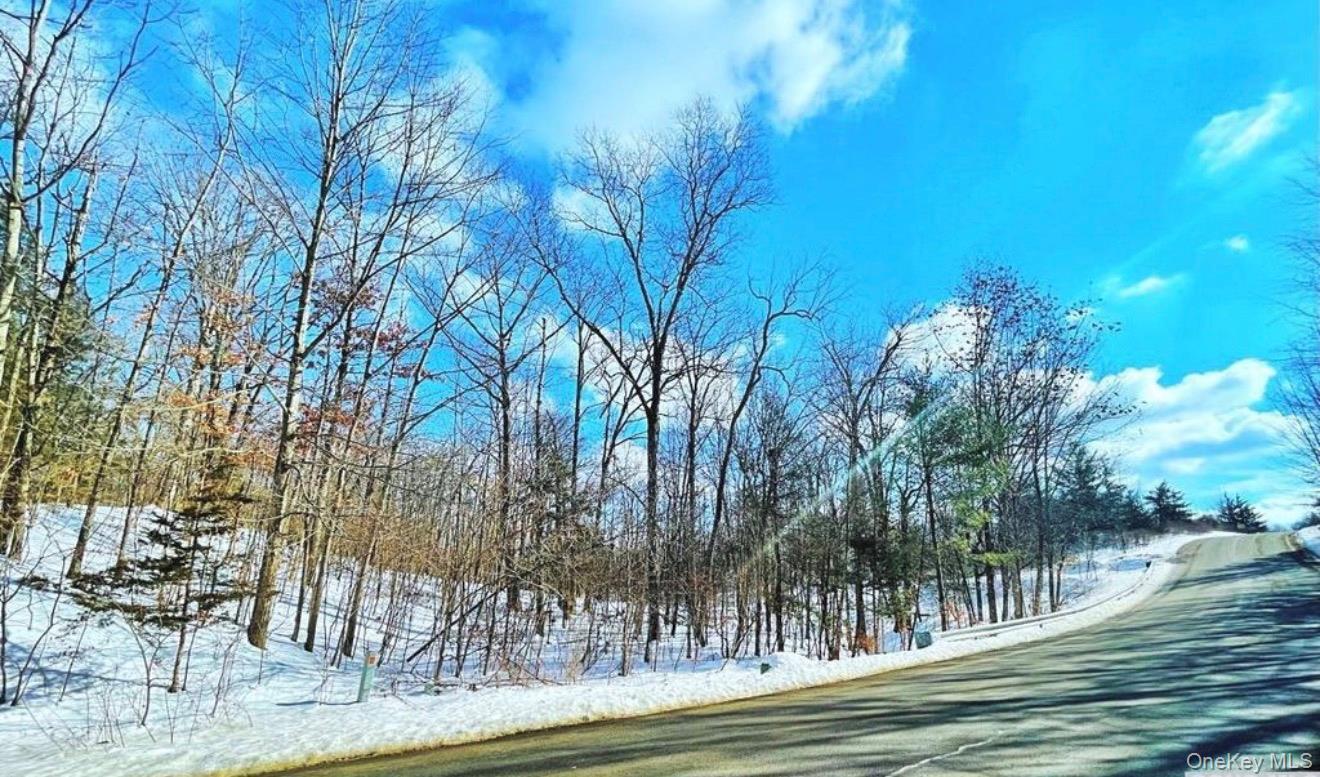 574 Sleepy Hollow Road Athens, NY 12015 - Photo 1 of 2