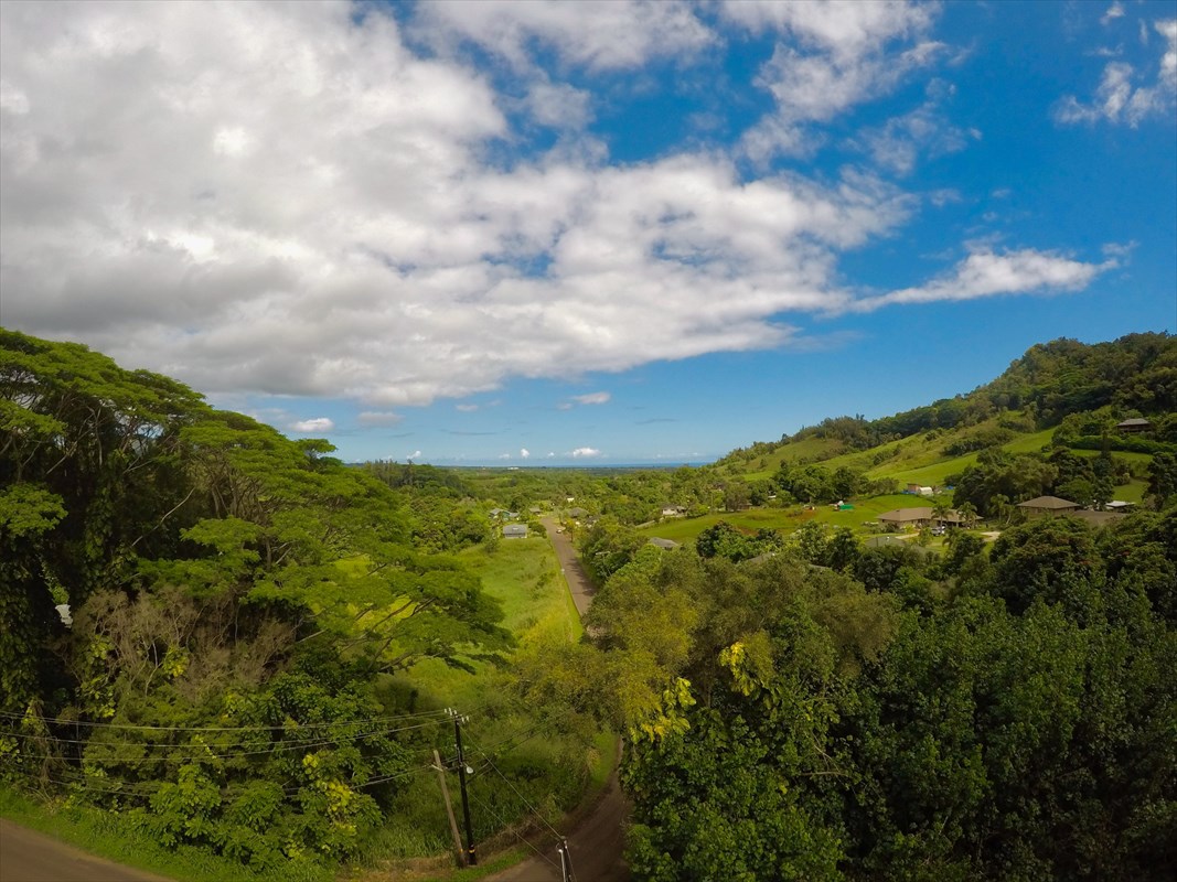 5971 Olohena Road Kapaa, HI 96746 - Photo 25 of 25 Gallery Image 25