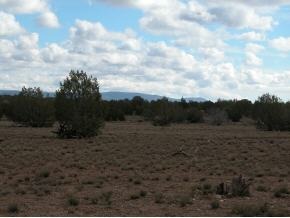 99 Bullock Road Ash Fork, AZ 86320 - Photo 2 of 2 Additional Photo