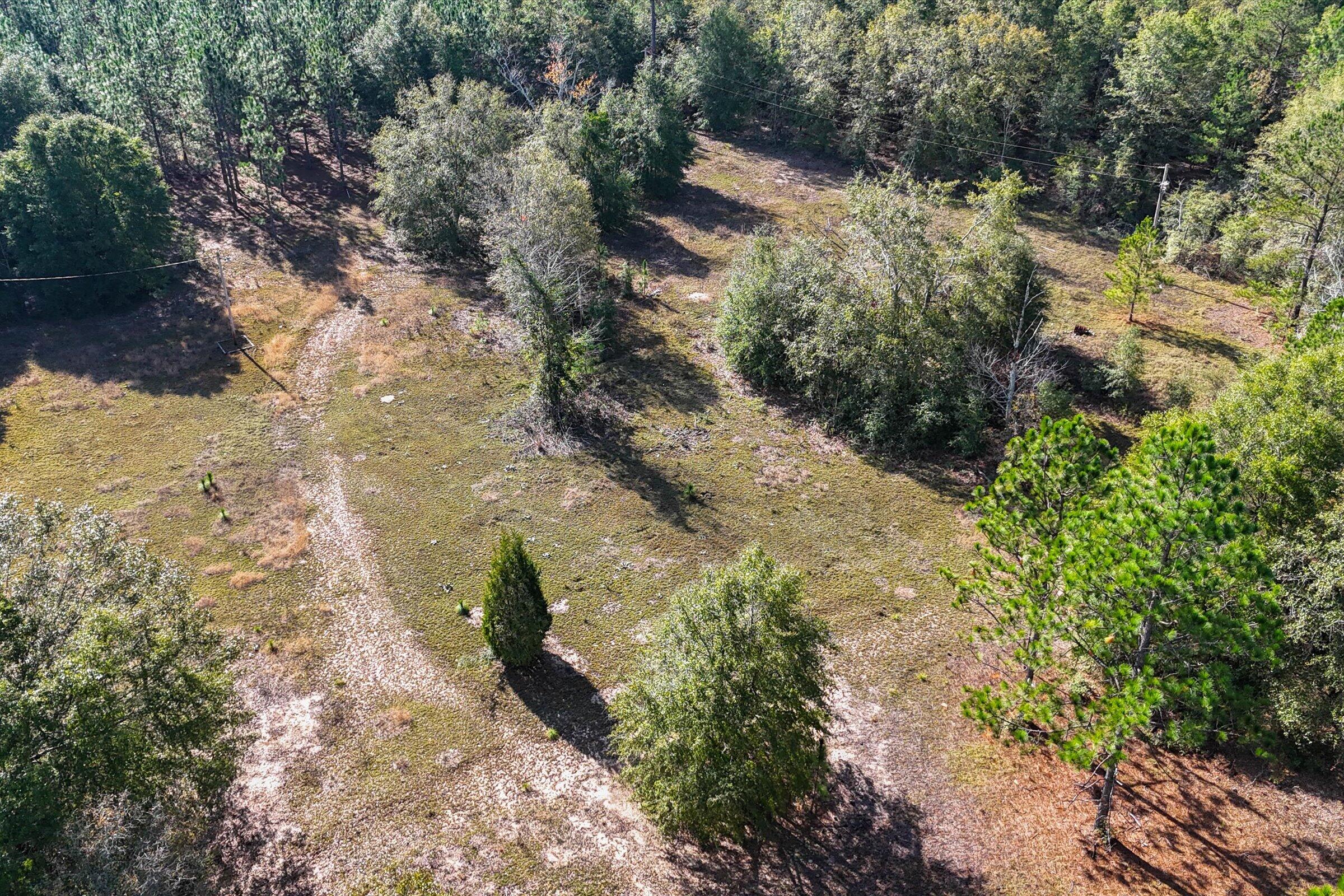 244 Woodfield Road Aiken, SC 29803 - Photo 12 of 17