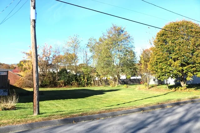 a view of a yard with a tree