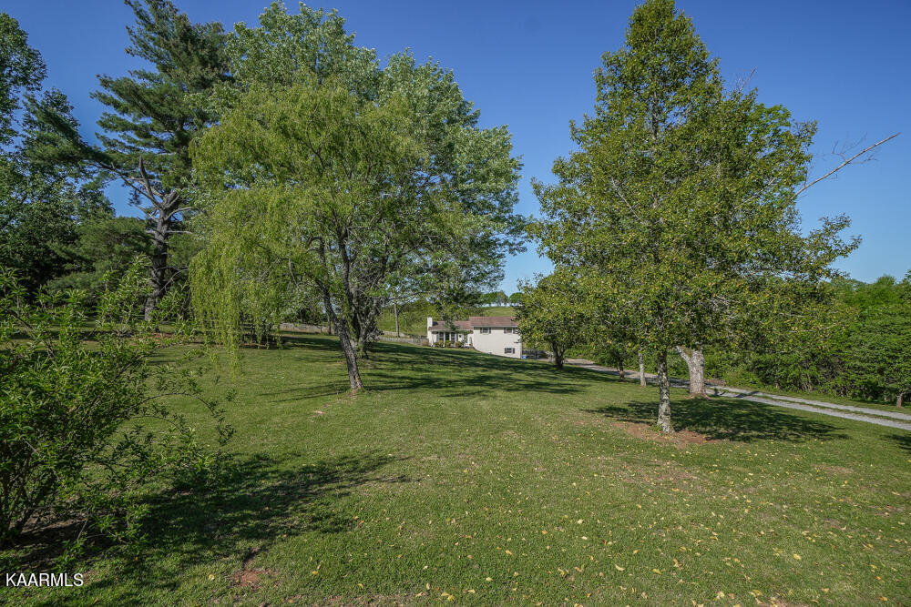 1541 Salem Loop Road Greenback, TN 37742 - Photo 2 of 48 DSC05321