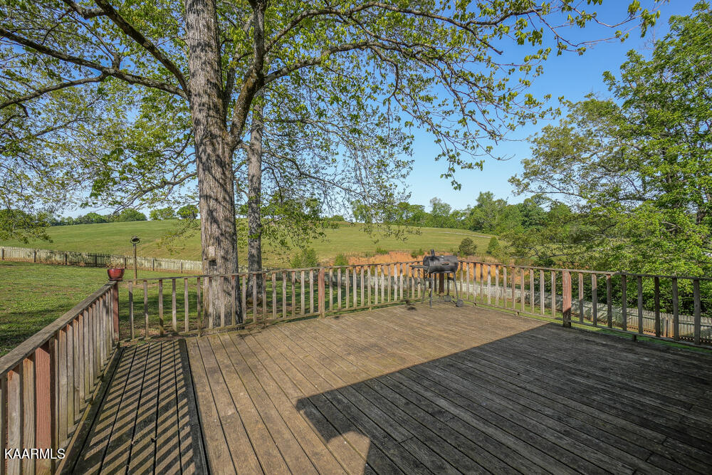 1541 Salem Loop Road Greenback, TN 37742 - Photo 32 of 48 DSC05278