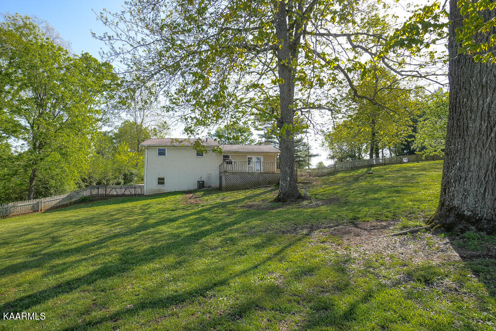 1541 Salem Loop Road Greenback, TN 37742 - Photo 44 of 48 DSC05297