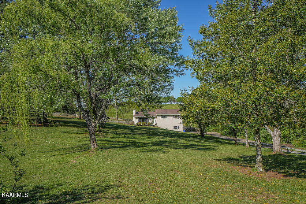 1541 Salem Loop Road Greenback, TN 37742 - Photo 48 of 48 DSC05322