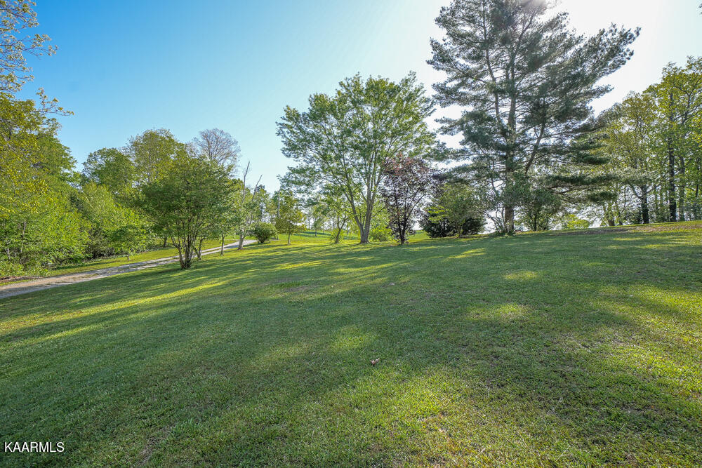 1541 Salem Loop Road Greenback, TN 37742 - Photo 7 of 48 DSC05304