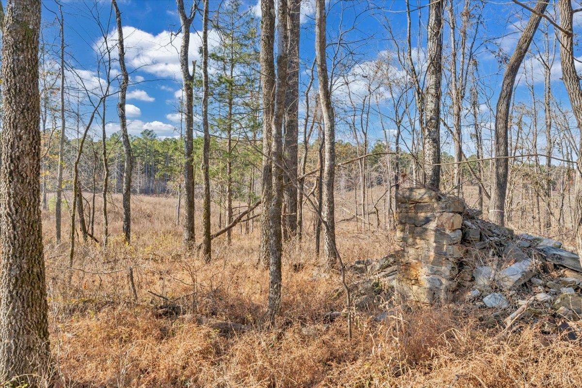 5050 Falkland Road Scottsburg, VA 24589 - Photo 67 of 97