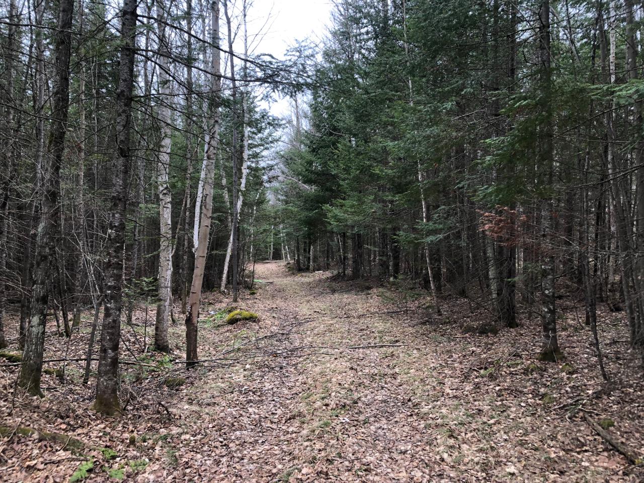 8 South Rd Crandon Wi 54520 Road Crandon, WI 54520 - Photo 27 of 38 Gallery Image 27