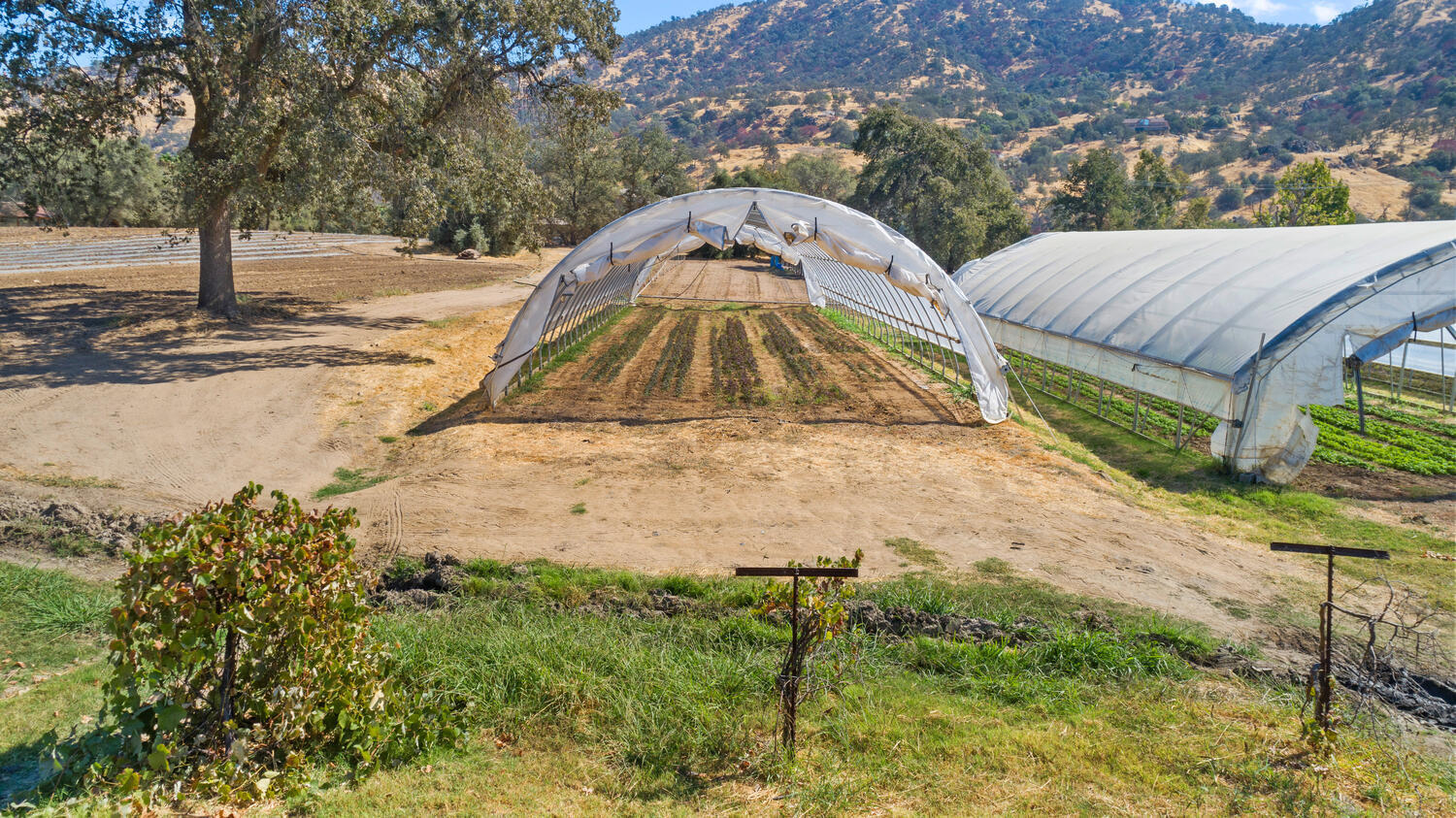 41849 North Fork Drive Three Rivers, CA 93271 - Photo 68 of 79 41849 N Fork Dr Three Rivers-large-058-0