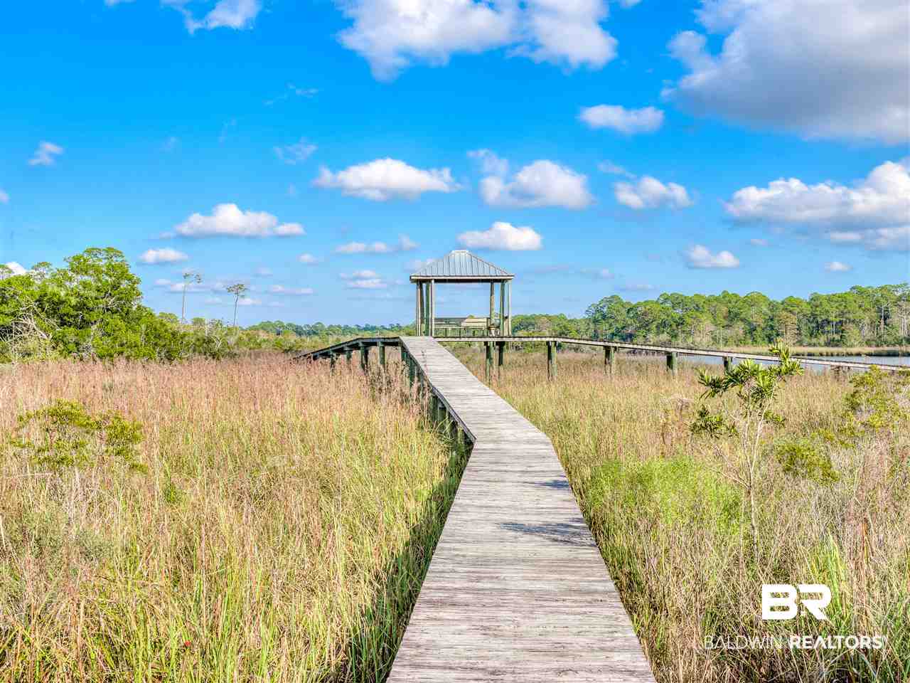326 River Route Foley, AL 36535 - Photo 40 of 50