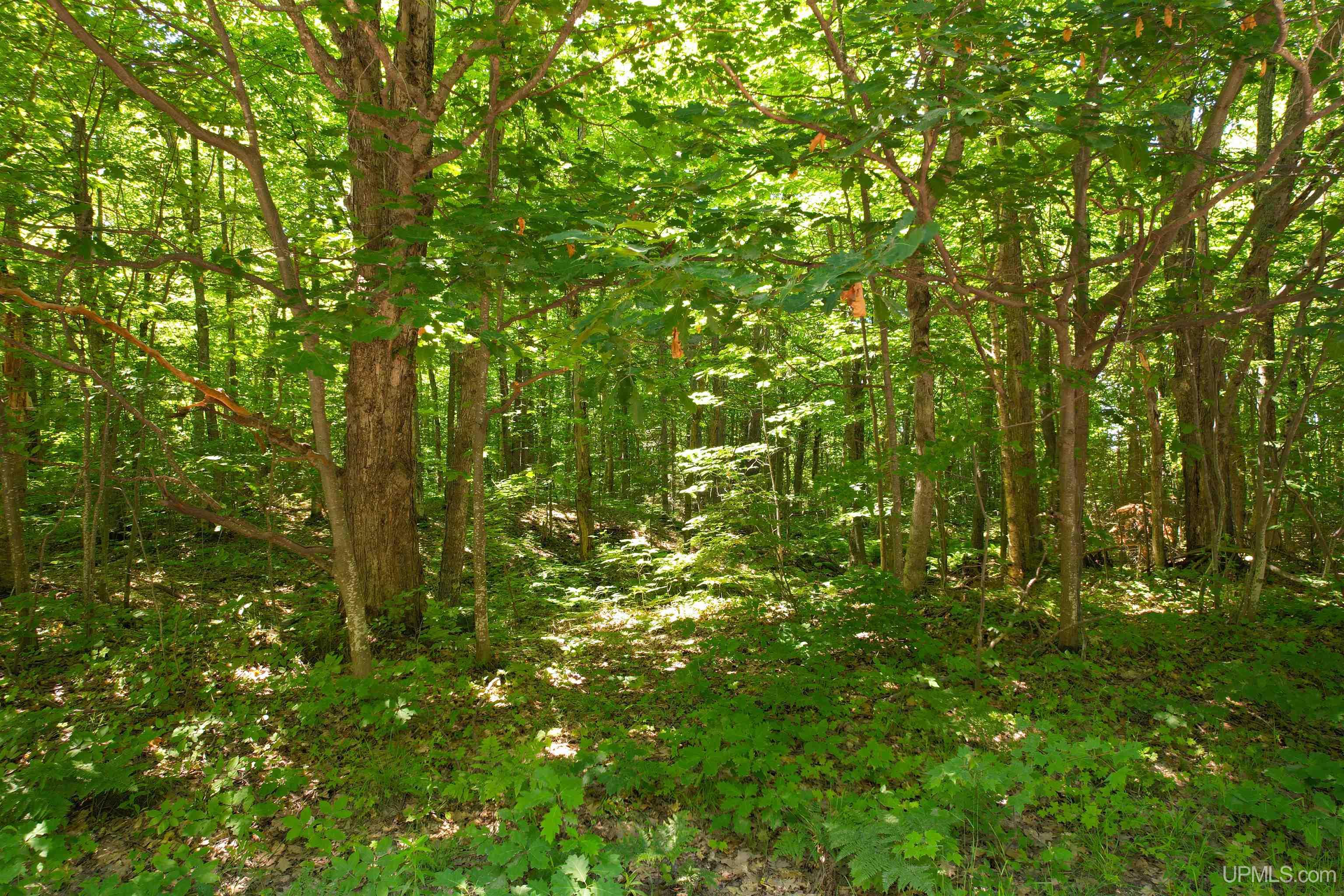 Tbd Superior Shores Road Atlantic Mine, MI 49905 - Photo 27 of 27
