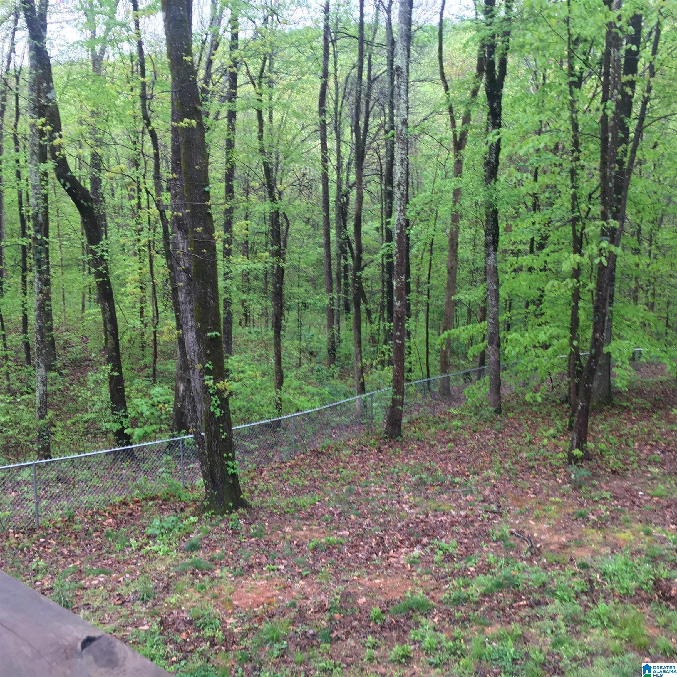 2459 Cox Cove Road Hayden, AL 35079 - Photo 18 of 18