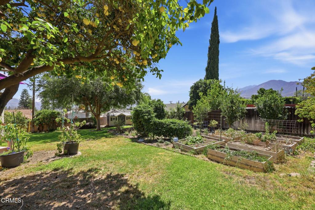 379 Foothill Drive Fillmore, CA 93015 - Photo 51 of 66 57-web-or-mls-IMG_5961