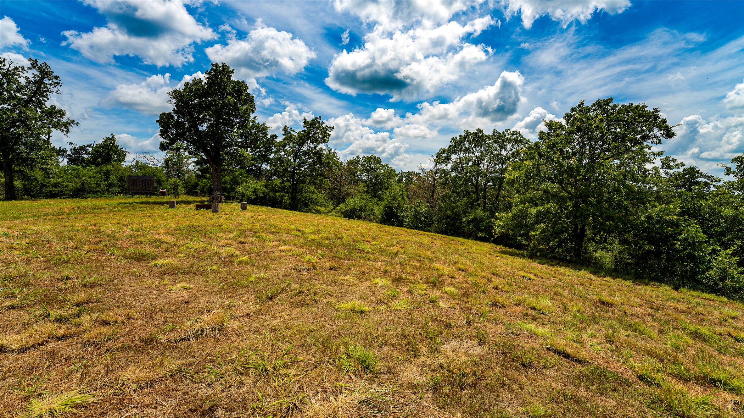 1470 22 Hills Road Gause, TX 77857 - Photo 12 of 35 A spacious, elevated lot offers a tranquil retreat surrounded by mature trees.