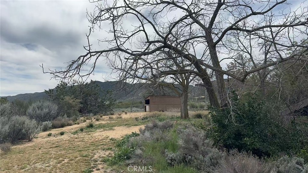 44201 Chapman Road Anza, CA 92539 - Photo 13 of 13