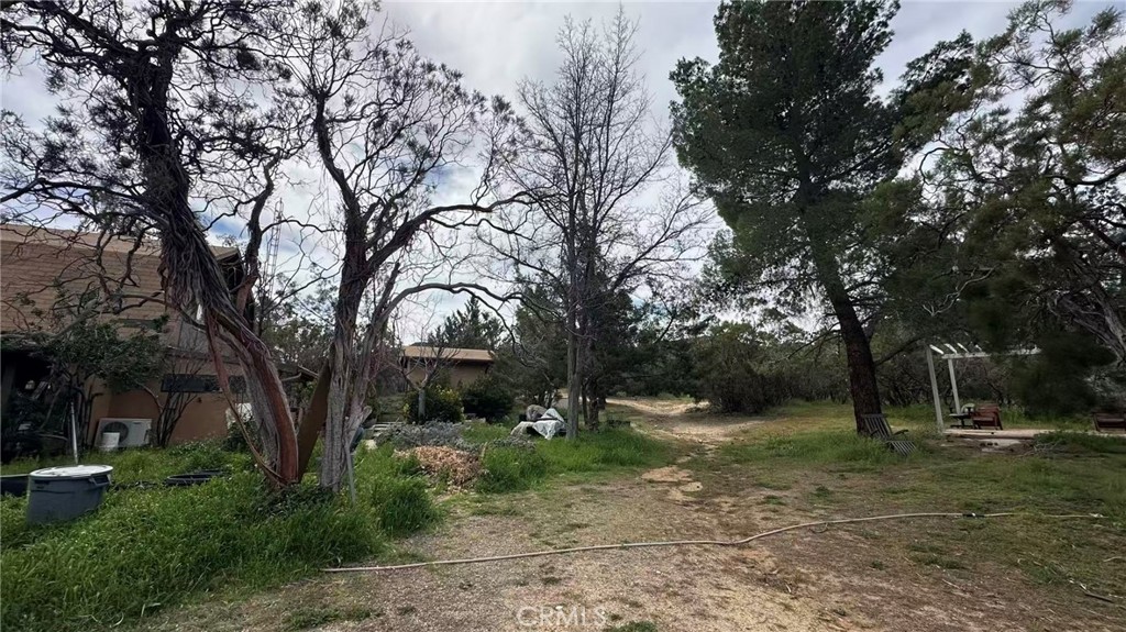 44201 Chapman Road Anza, CA 92539 - Photo 2 of 13