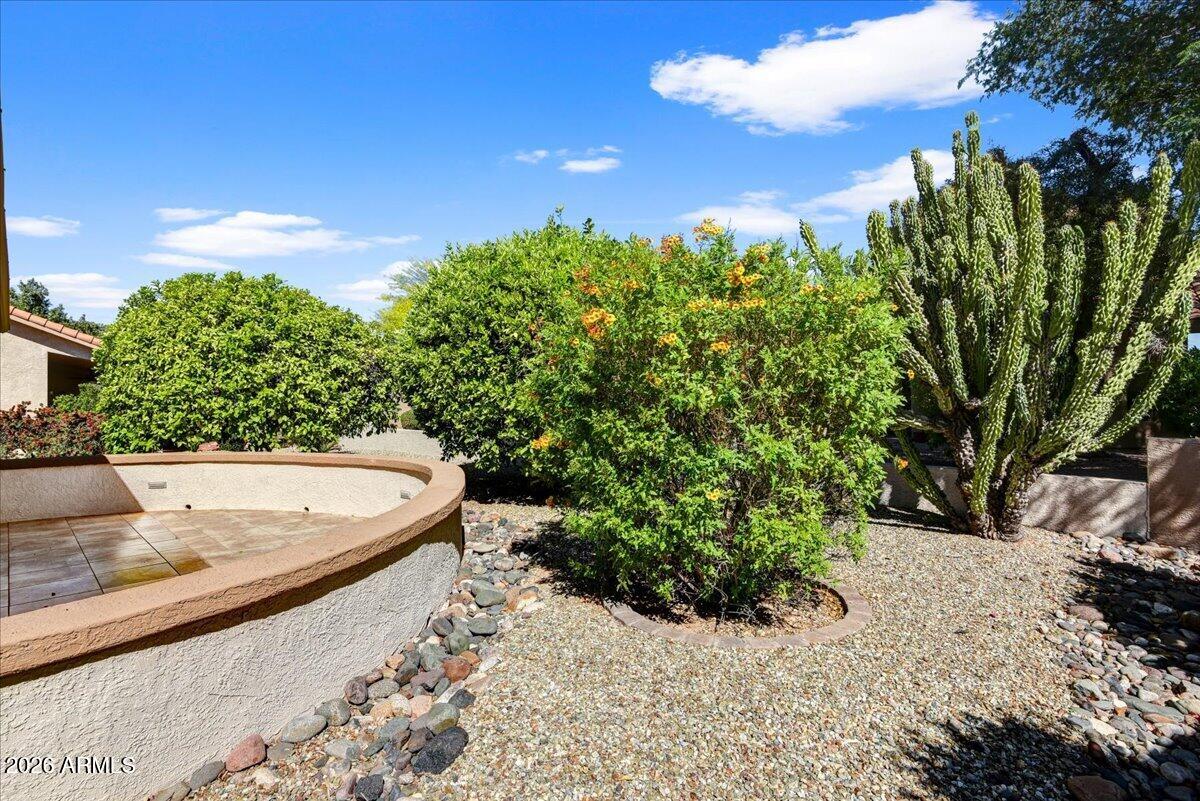 9136 West Rimrock Drive Peoria, AZ 85382 - Photo 23 of 25 a view of a backyard with plants