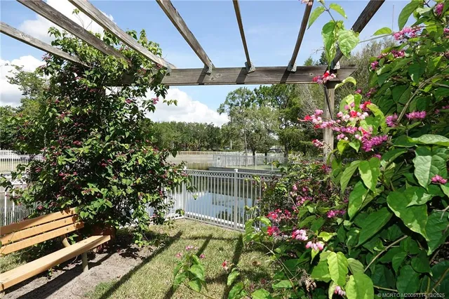 a view of a backyard with plants