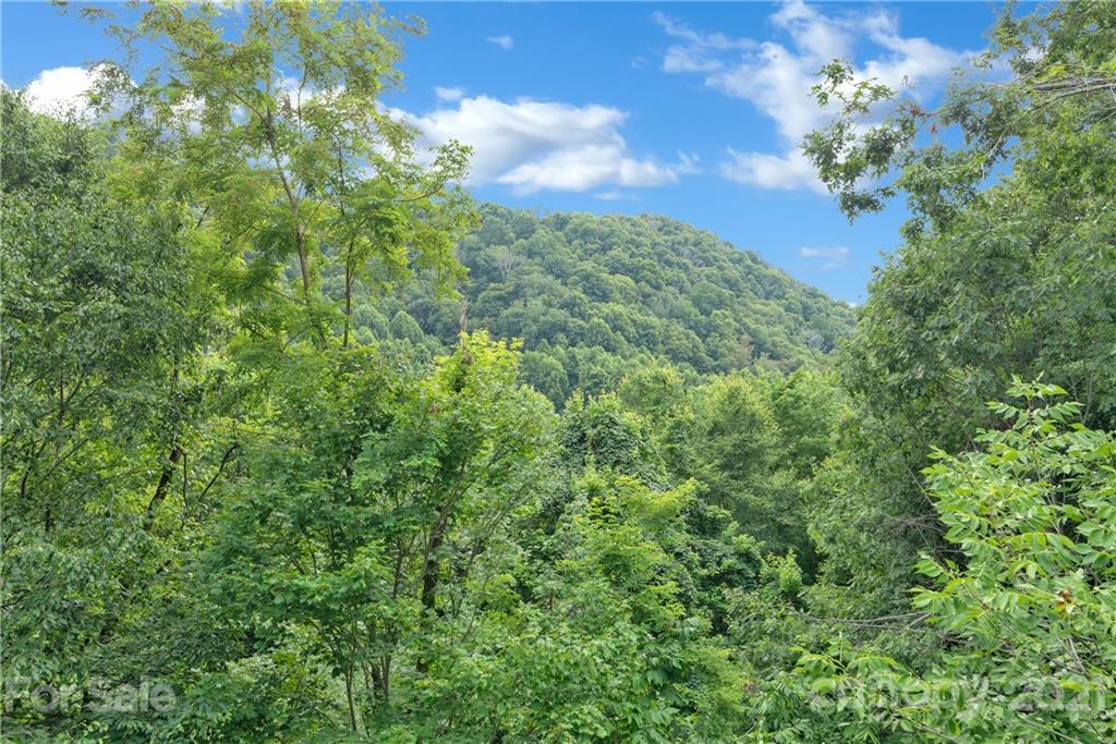 210 Angel Falls Road Clyde, NC 28721 - Photo 13 of 40 a view of a garden
