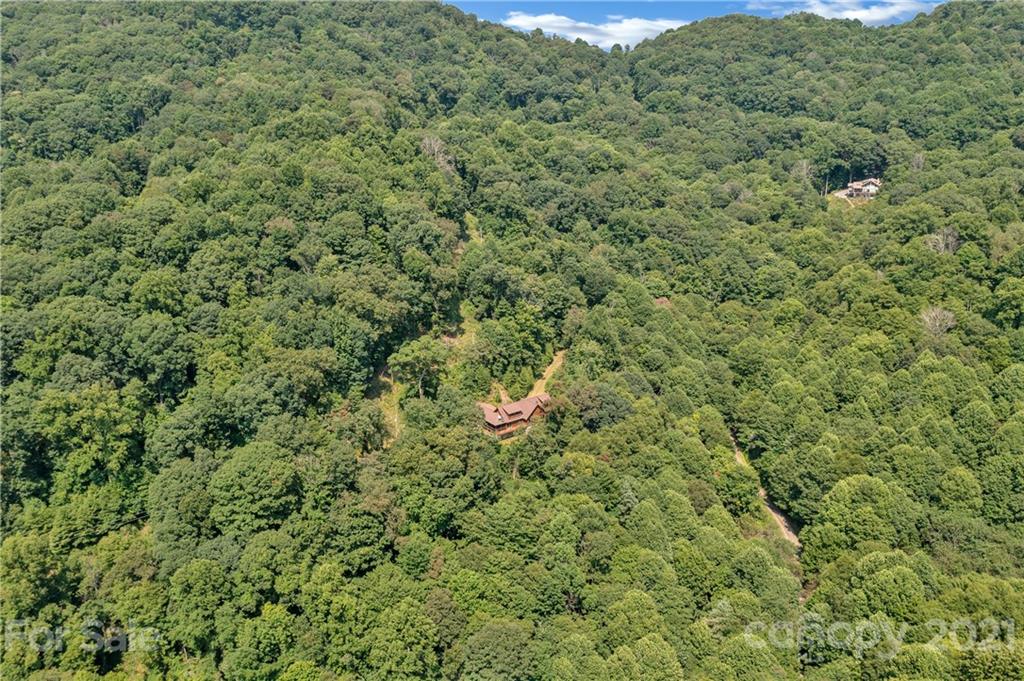 210 Angel Falls Road Clyde, NC 28721 - Photo 37 of 40 a view of a lush green forest with a lush green forest