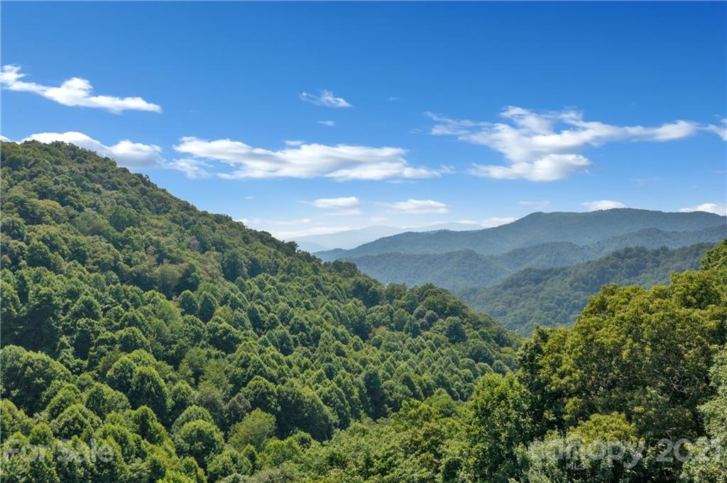210 Angel Falls Road Clyde, NC 28721 - Photo 38 of 40 a view of a city with lush green forest