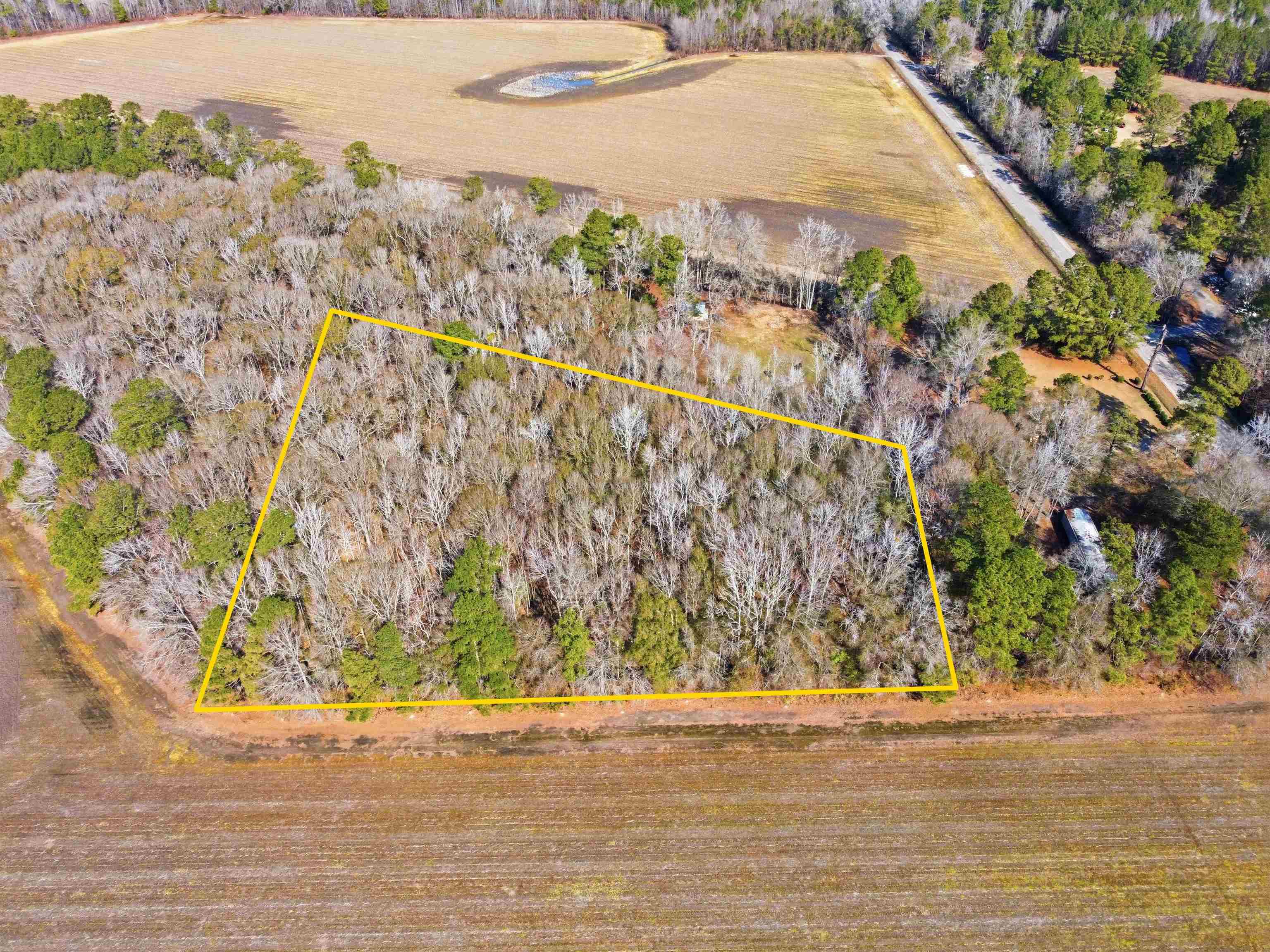 Not Specified Cades, SC 29518 - Photo 1 of 3