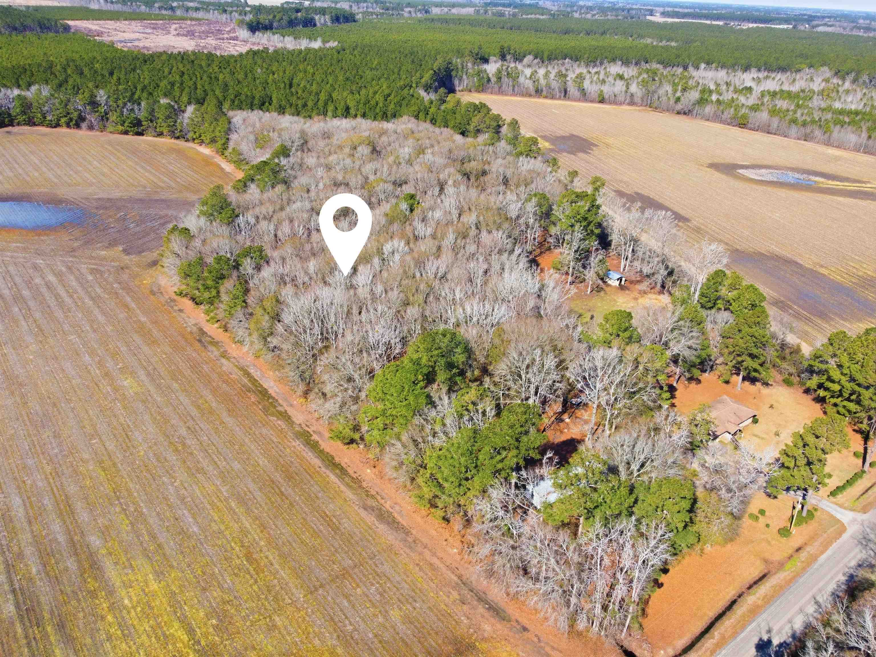 Not Specified Cades, SC 29518 - Photo 3 of 3