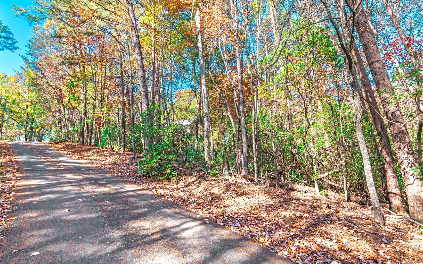 68 Valley View Road Ellijay, GA 30536 - Photo 4 of 42 Additional View