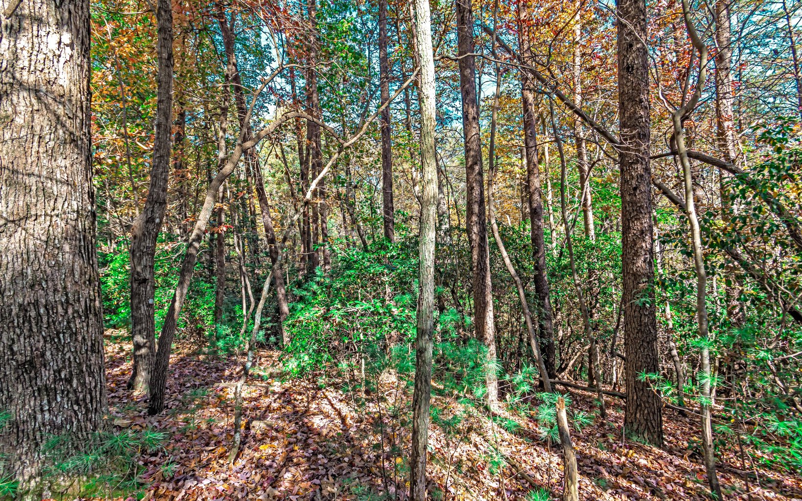 68 Valley View Road Ellijay, GA 30536 - Photo 5 of 42 Additional View