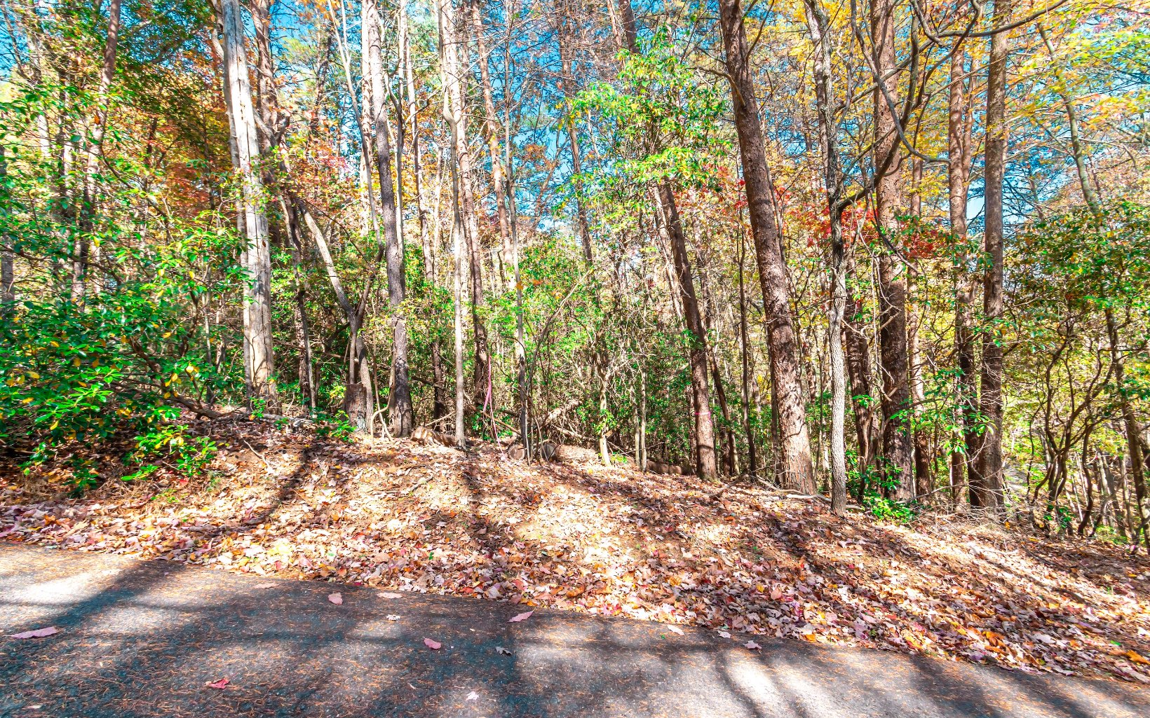 68 Valley View Road Ellijay, GA 30536 - Photo 6 of 42 Additional View