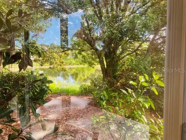 a view of a yard with plants and tree