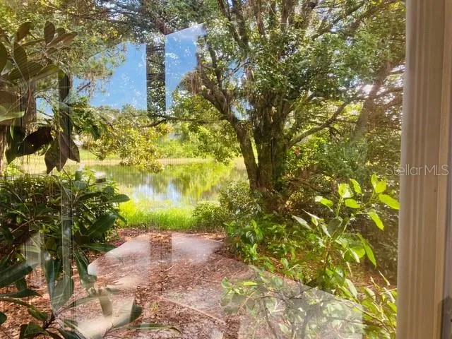 a view of a yard with plants and tree