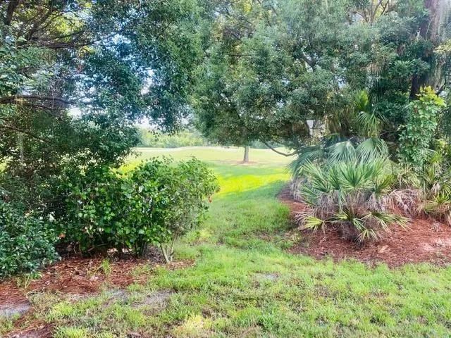 a view of yard with green space