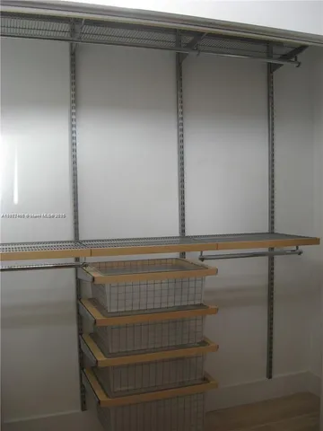 a view of a backyard with plants and large trees