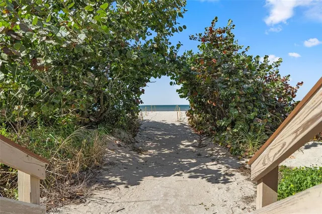 a picture of a tree in front of a house
