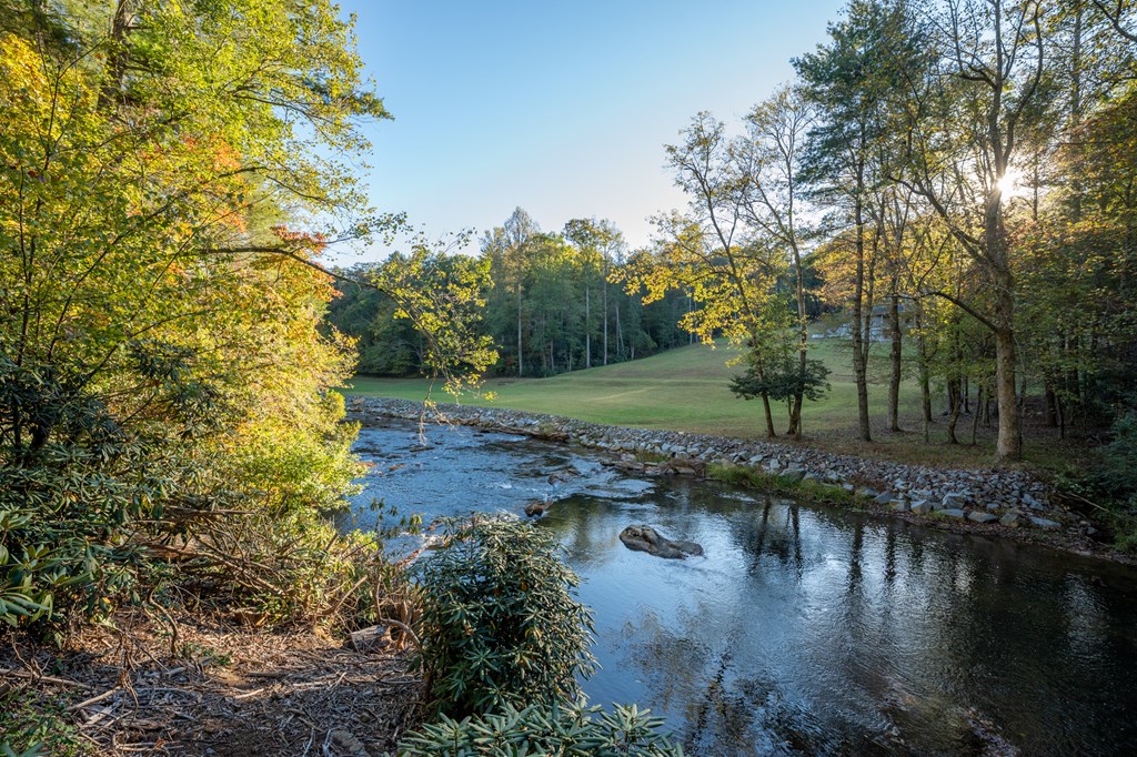 35 Dogwood Riverside Drive Blue Ridge, GA 30513 - Photo 43 of 71 Gallery Image 43