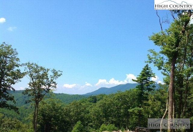 Lot 21 Boulder Cay Road Boone, NC 28607 - Photo 12 of 20