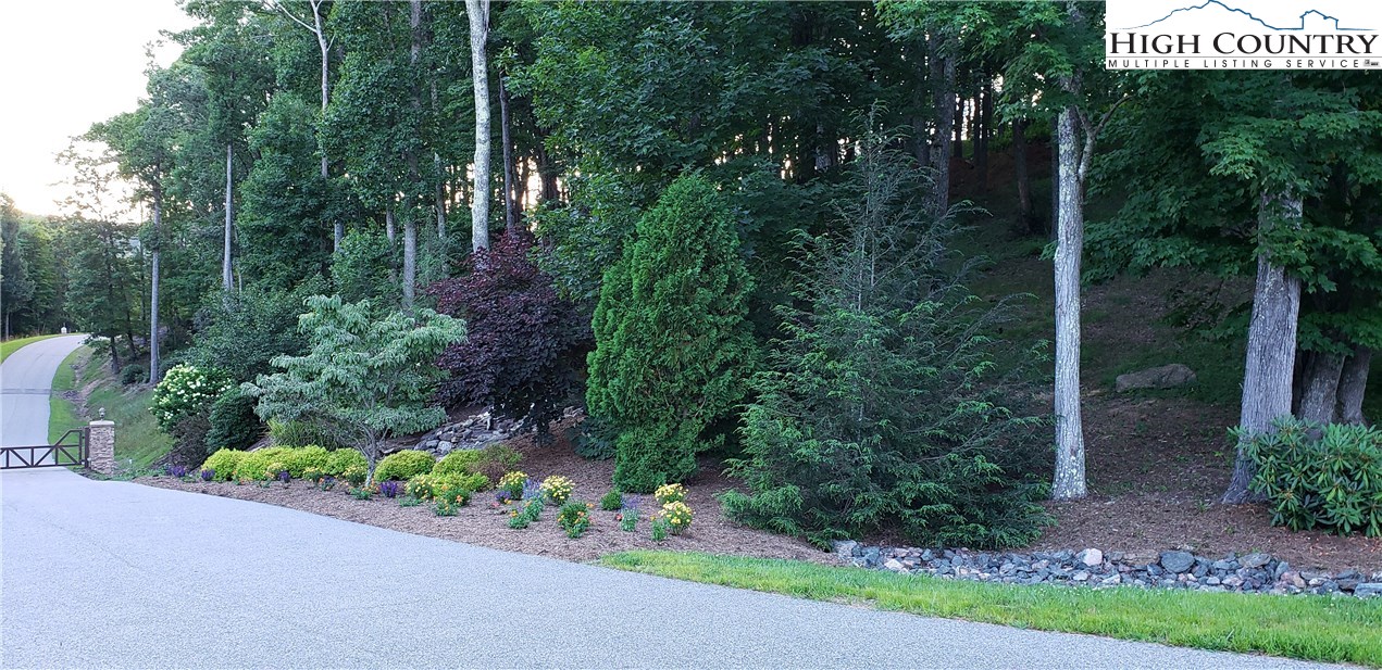 Lot 21 Boulder Cay Road Boone, NC 28607 - Photo 3 of 20