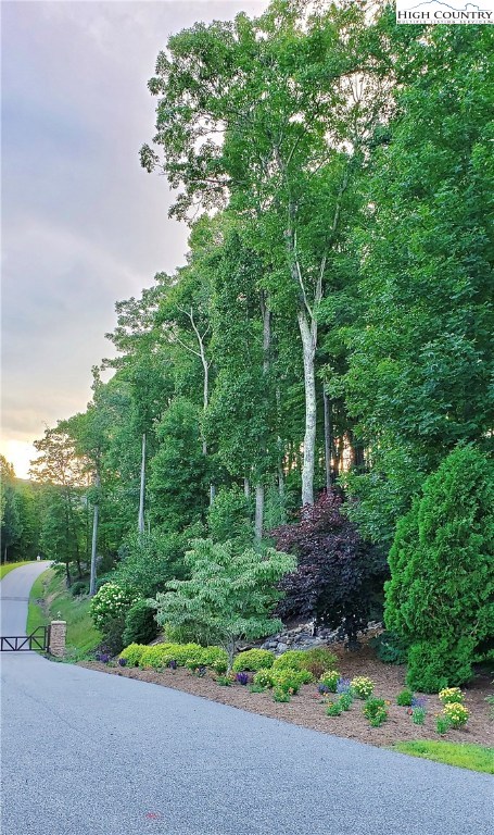 Lot 21 Boulder Cay Road Boone, NC 28607 - Photo 4 of 20
